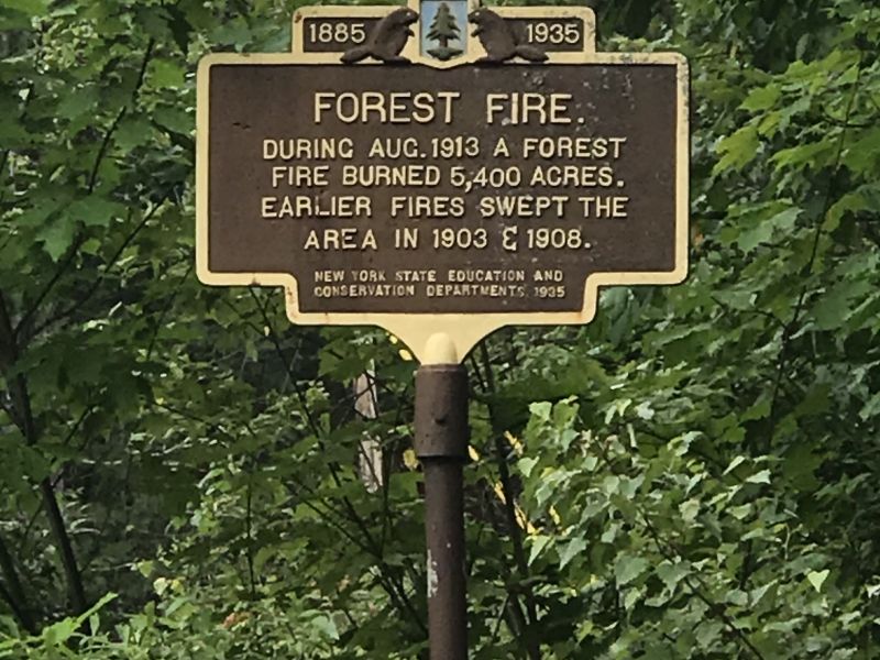 Forest Fire Historic Roadside Marker