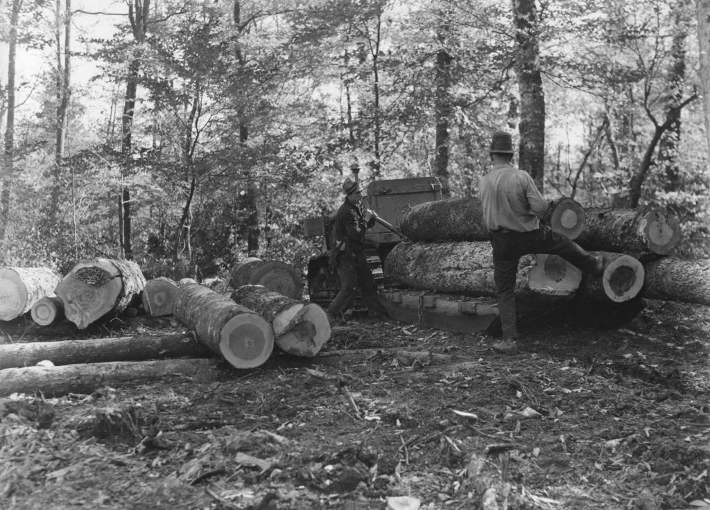 Osceola Logging