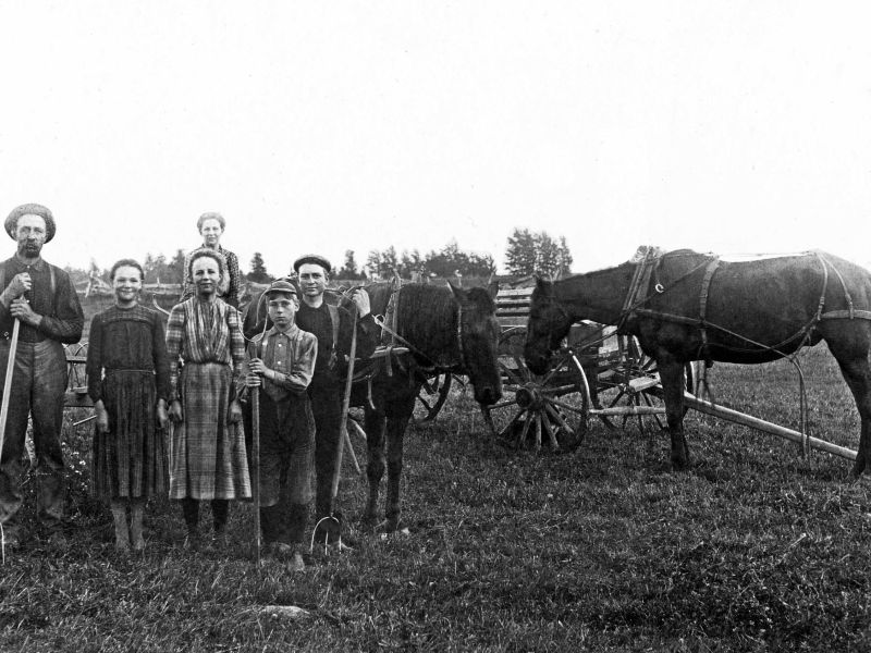 Early Lewis County Farmers